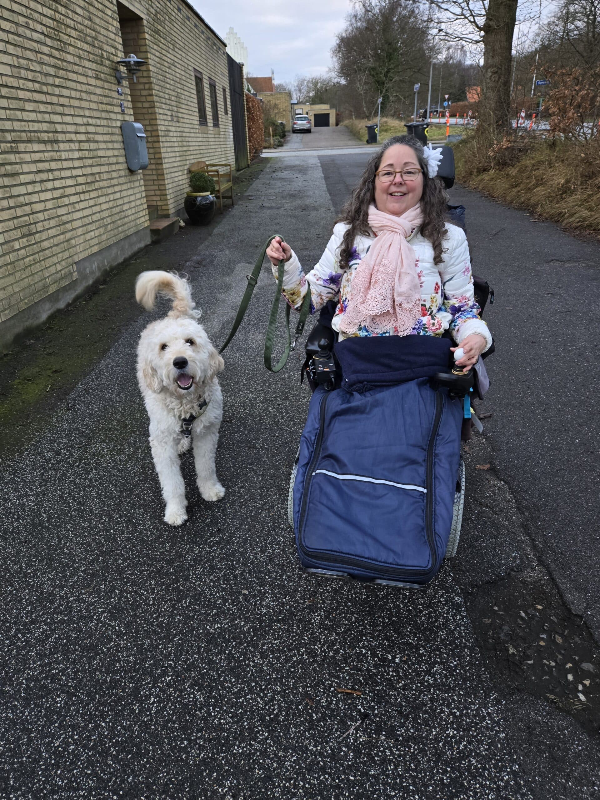 Tina lufter hund Sky. tilfredsstillende liv