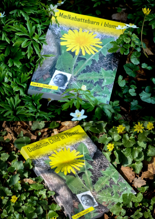 mælkebøttebarn i blomst på dansk og engelsk