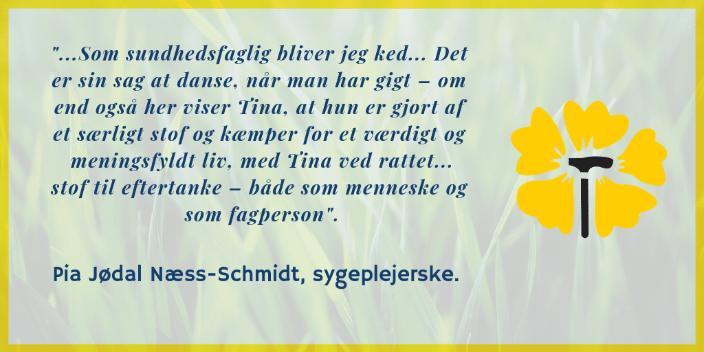 Billede af anmeldelse af MiB til kronik om Tilgængelighed